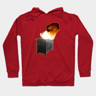 2020 Dumpster Fire - Lighting the Way Hoodie